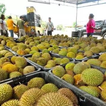 暴跌的榴莲：背后原因与行业趋势深度剖析